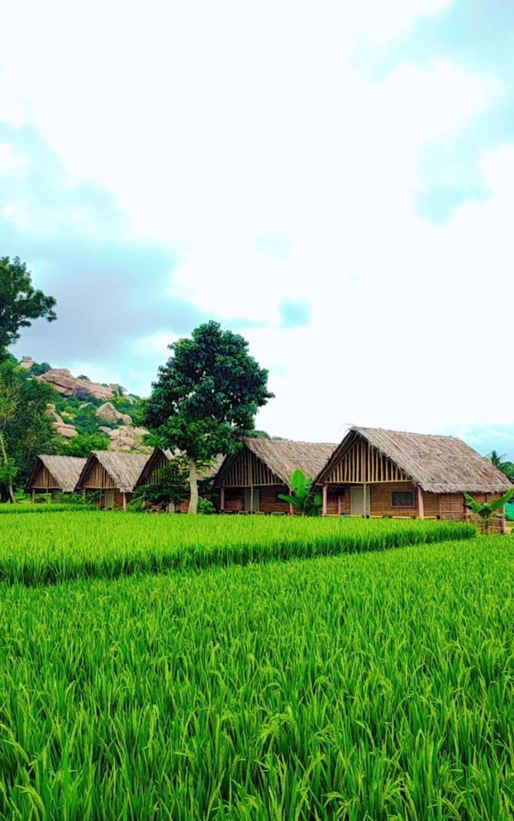 Om Shanti Om Home Stay & Cafe Hampi Dış mekan fotoğraf